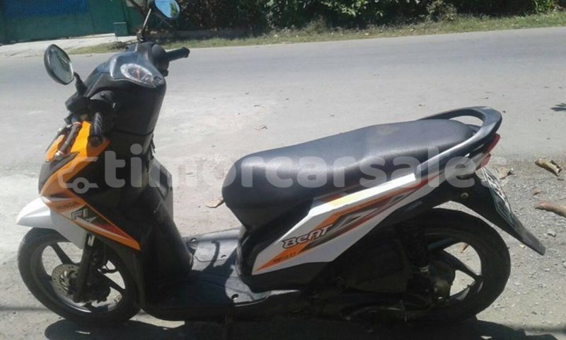 Big with watermark 45082950 585003115269491 909943758584283136 o