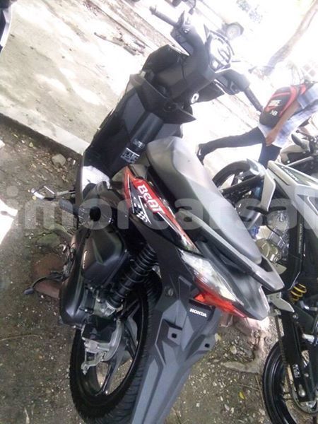 Big with watermark 47011578 145240239788356 7317216850255806464 n