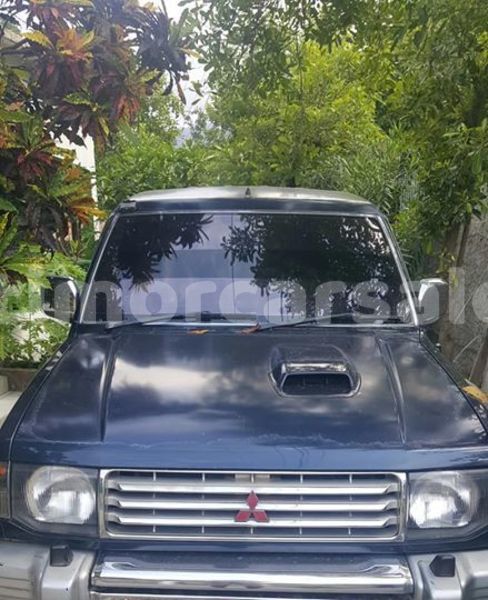 Big with watermark 48367450 1551656114967725 7397783027910180864 n