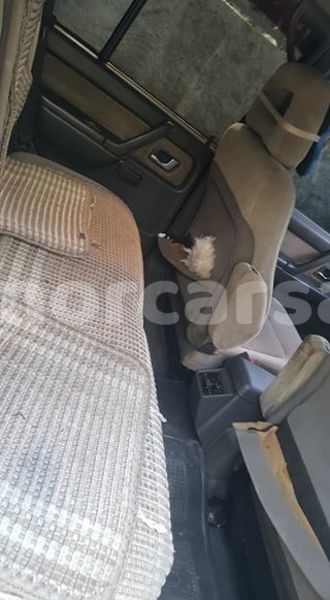 Big with watermark 48275294 1551656274967709 8601010337698807808 n