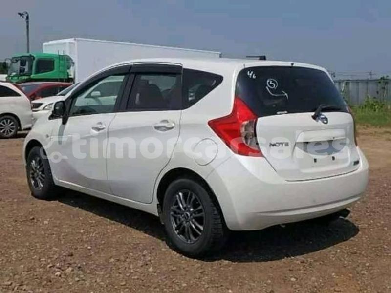 Big with watermark 49103514 237041390523421 7610341693828628480 n