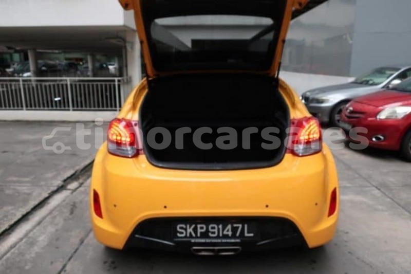 Big with watermark 48897859 10217851604111812 2160515424884621312 n