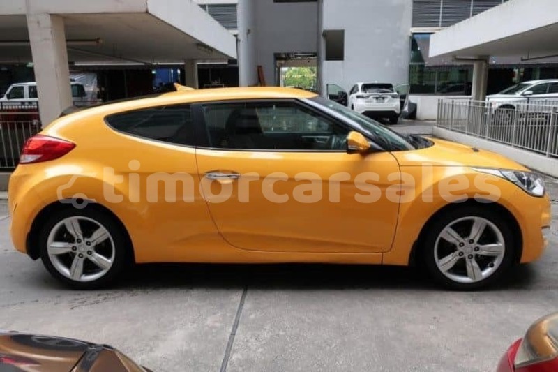 Big with watermark 49051922 10217851603431795 9106704275370672128 n