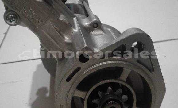 Buy starter in Dili in Dili Buy starter in Dili in Dili