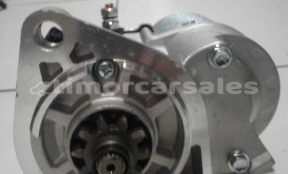 Buy starter in Dili in Dili Buy starter in Dili in Dili