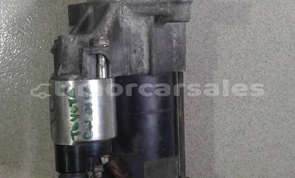 Buy starter in Dili in Dili Buy starter in Dili in Dili