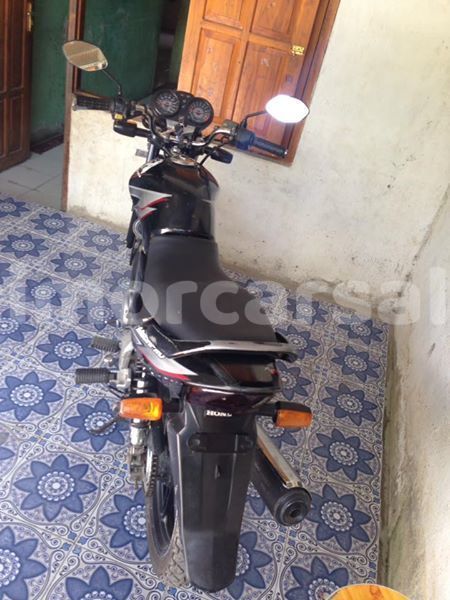 Big with watermark 30689117 213923495859963 1956229750489294819 n