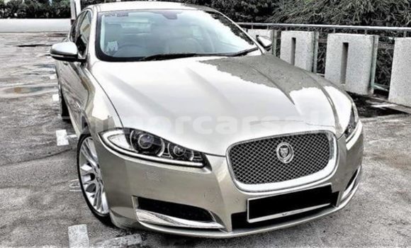 Buy Used Jaguar XE Beige Car in Dili in Dili