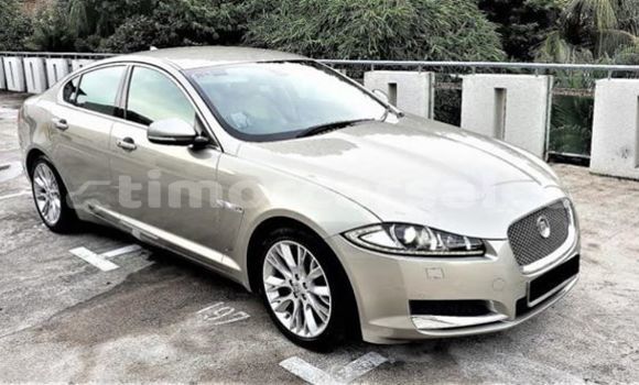 Buy Used Jaguar XE Beige Car in Dili in Dili Buy Used Jaguar XE Beige Car in Dili in Dili