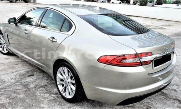 Buy Used Jaguar XE Beige Car in Dili in Dili Buy Used Jaguar XE Beige Car in Dili in Dili