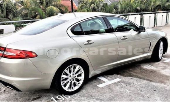 Buy Used Jaguar XE Beige Car in Dili in Dili Buy Used Jaguar XE Beige Car in Dili in Dili