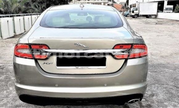 Buy Used Jaguar XE Beige Car in Dili in Dili Buy Used Jaguar XE Beige Car in Dili in Dili