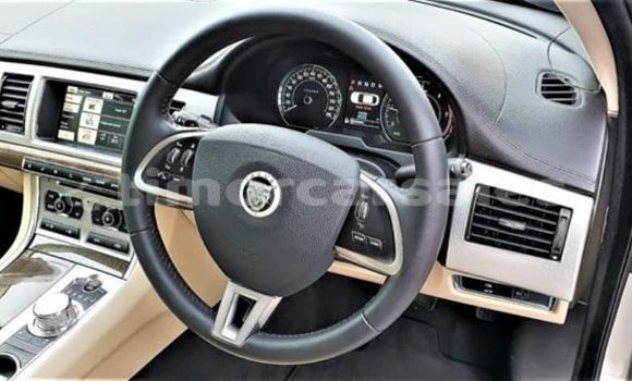 Buy Used Jaguar XE Beige Car in Dili in Dili Buy Used Jaguar XE Beige Car in Dili in Dili