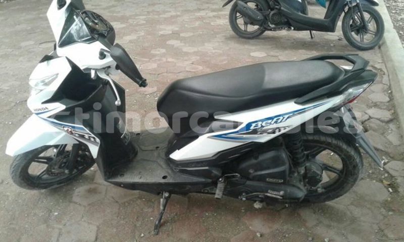 Big with watermark 51541287 2227379590867811 8264711533678821376 o