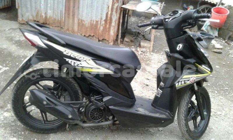 Big with watermark 49949367 2215292195409884 559788393634988032 o