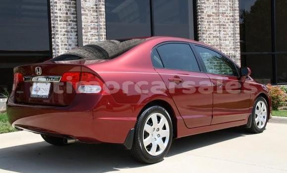 Buy Used Honda Civic Red Car in Ermera in Ermera Buy Used Honda Civic Red Car in Ermera in Ermera