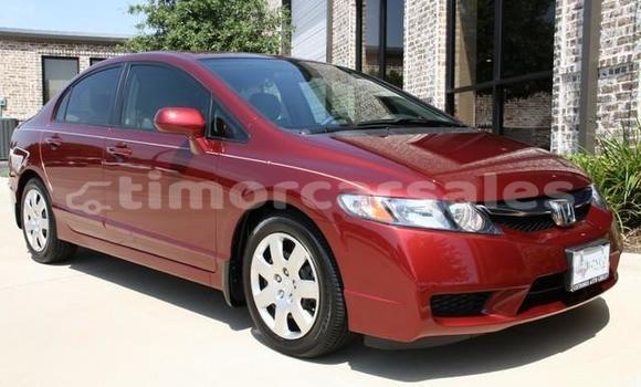 Buy Used Honda Fit Red Car in Dili in Dili Buy Used Honda Fit Red Car in Dili in Dili