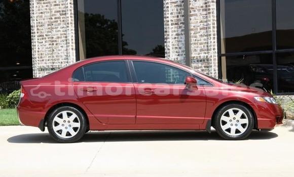 Buy Used Honda Fit Red Car in Dili in Dili Buy Used Honda Fit Red Car in Dili in Dili