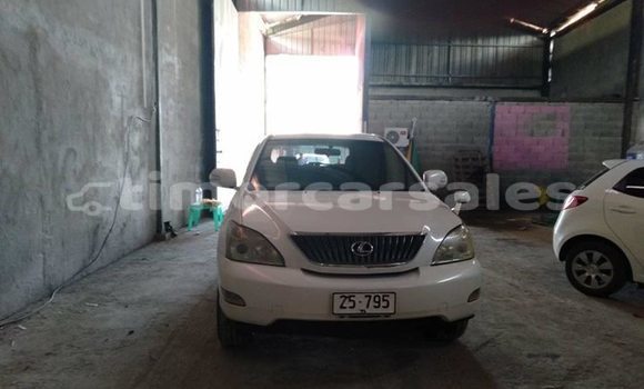 Buy Used Lexus RX White Car in Dili in Dili Buy Used Lexus RX White Car in Dili in Dili