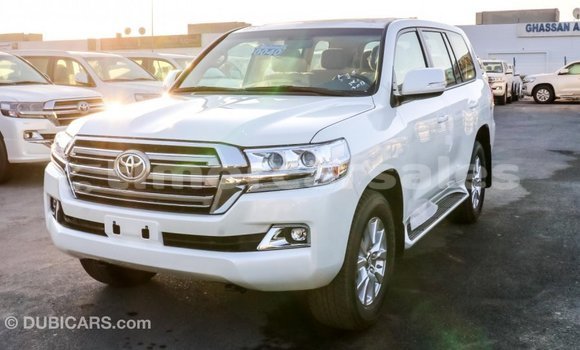 Buy Import Toyota Land Cruiser White Car in Import - Dubai in Aileu Buy Import Toyota Land Cruiser White Car in Import - Dubai in Aileu