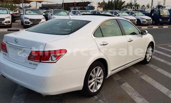 Buy Import Lexus ES White Car in Import - Dubai in Aileu Buy Import Lexus ES White Car in Import - Dubai in Aileu
