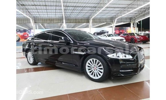 Buy Import Jaguar XJ Black Car in Import - Dubai in Aileu Buy Import Jaguar XJ Black Car in Import - Dubai in Aileu