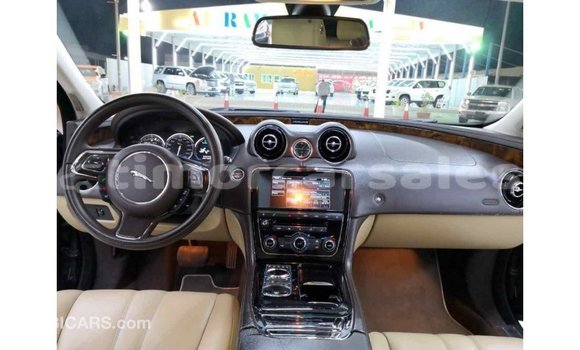Buy Import Jaguar XJ Black Car in Import - Dubai in Aileu Buy Import Jaguar XJ Black Car in Import - Dubai in Aileu