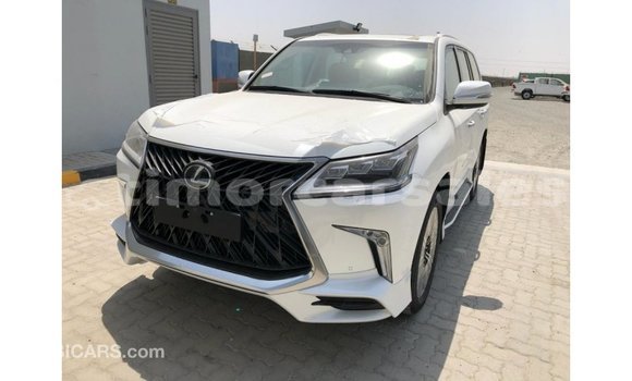 Buy Import Lexus LX White Car in Import - Dubai in Aileu Buy Import Lexus LX White Car in Import - Dubai in Aileu