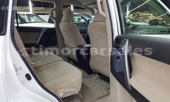 Buy Import Toyota Prado White Car in Import - Dubai in Aileu Buy Import Toyota Prado White Car in Import - Dubai in Aileu