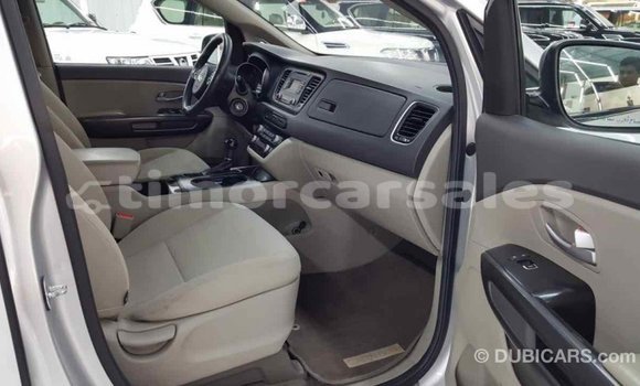 Buy Import Kia Carnival Other Car in Import - Dubai in Aileu Buy Import Kia Carnival Other Car in Import - Dubai in Aileu