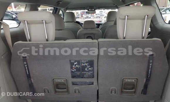 Buy Import Kia Carnival Other Car in Import - Dubai in Aileu
