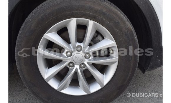 Buy Import Kia Sorento White Car in Import - Dubai in Aileu