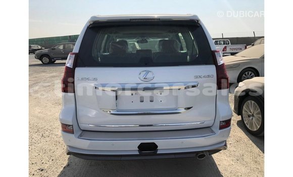 Buy Import Lexus GX White Car in Import - Dubai in Aileu Buy Import Lexus GX White Car in Import - Dubai in Aileu