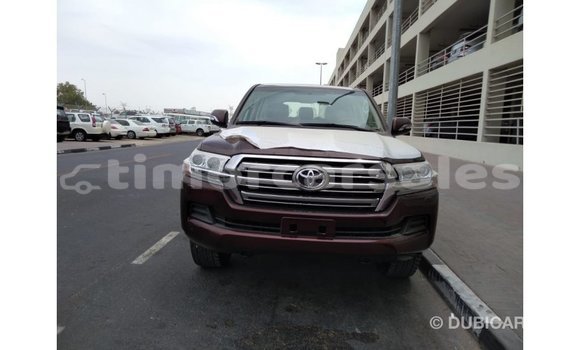 Buy Import Toyota Land Cruiser Brown Car in Import - Dubai in Aileu Buy Import Toyota Land Cruiser Brown Car in Import - Dubai in Aileu