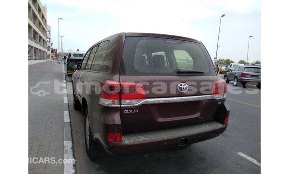 Buy Import Toyota Land Cruiser Brown Car in Import - Dubai in Aileu Buy Import Toyota Land Cruiser Brown Car in Import - Dubai in Aileu