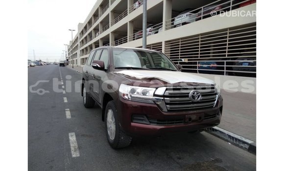 Buy Import Toyota Land Cruiser Brown Car in Import - Dubai in Aileu Buy Import Toyota Land Cruiser Brown Car in Import - Dubai in Aileu