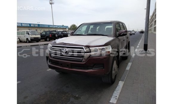Buy Import Toyota Land Cruiser Brown Car in Import - Dubai in Aileu Buy Import Toyota Land Cruiser Brown Car in Import - Dubai in Aileu
