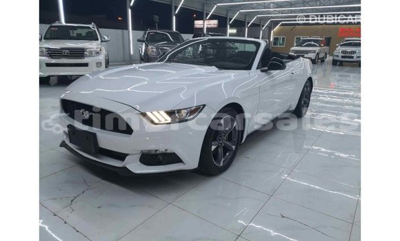 Buy Import Ford Mustang White Car in Import - Dubai in Aileu Buy Import Ford Mustang White Car in Import - Dubai in Aileu