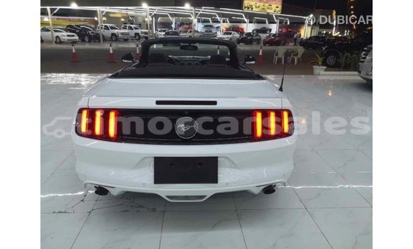 Buy Import Ford Mustang White Car in Import - Dubai in Aileu Buy Import Ford Mustang White Car in Import - Dubai in Aileu