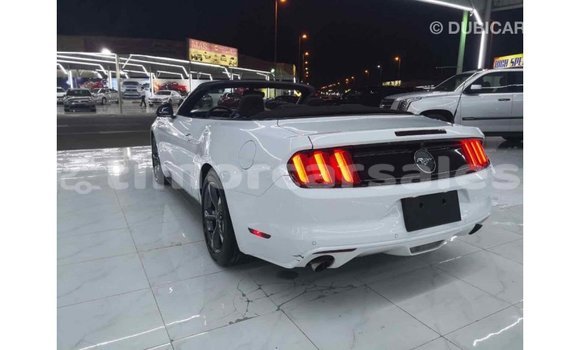 Buy Import Ford Mustang White Car in Import - Dubai in Aileu Buy Import Ford Mustang White Car in Import - Dubai in Aileu