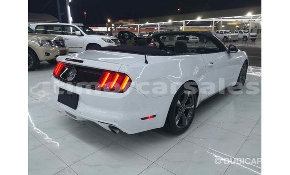 Buy Import Ford Mustang White Car in Import - Dubai in Aileu Buy Import Ford Mustang White Car in Import - Dubai in Aileu