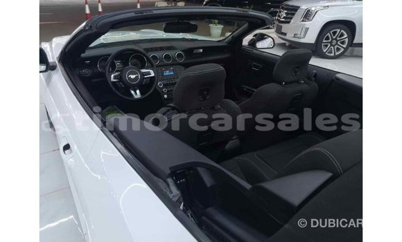 Buy Import Ford Mustang White Car in Import - Dubai in Aileu Buy Import Ford Mustang White Car in Import - Dubai in Aileu