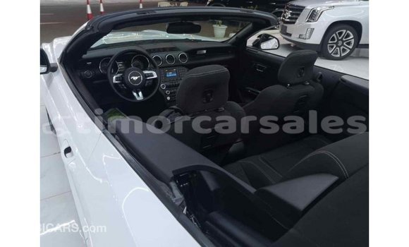 Buy Import Ford Mustang White Car in Import - Dubai in Aileu Buy Import Ford Mustang White Car in Import - Dubai in Aileu