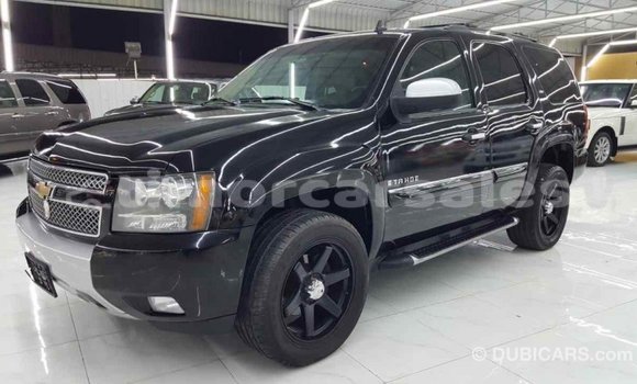 Buy Import Chevrolet Tahoe Black Car in Import - Dubai in Aileu Buy Import Chevrolet Tahoe Black Car in Import - Dubai in Aileu