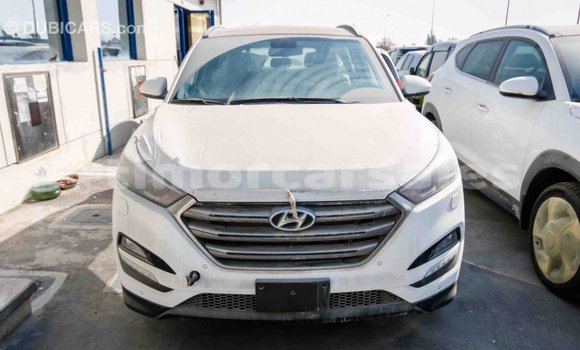 Buy Import Hyundai Tucson White Car in Import - Dubai in Aileu Buy Import Hyundai Tucson White Car in Import - Dubai in Aileu