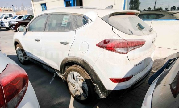 Buy Import Hyundai Tucson White Car in Import - Dubai in Aileu Buy Import Hyundai Tucson White Car in Import - Dubai in Aileu