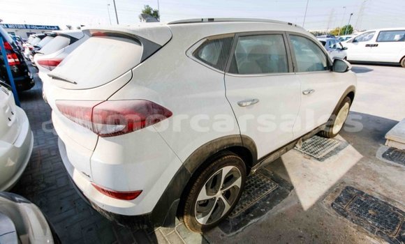 Buy Import Hyundai Tucson White Car in Import - Dubai in Aileu Buy Import Hyundai Tucson White Car in Import - Dubai in Aileu
