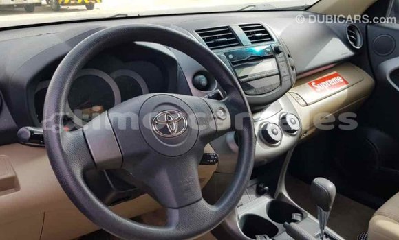 Buy Import Toyota RAV4 Other Car in Import - Dubai in Aileu Buy Import Toyota RAV4 Other Car in Import - Dubai in Aileu