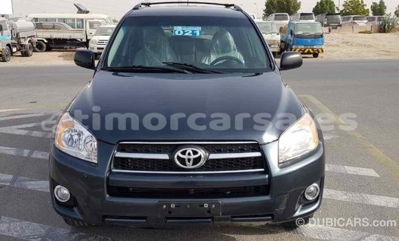 Buy Import Toyota RAV4 Green Car in Import - Dubai in Aileu Buy Import Toyota RAV4 Green Car in Import - Dubai in Aileu
