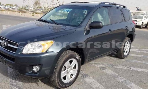 Buy Import Toyota RAV4 Green Car in Import - Dubai in Aileu Buy Import Toyota RAV4 Green Car in Import - Dubai in Aileu